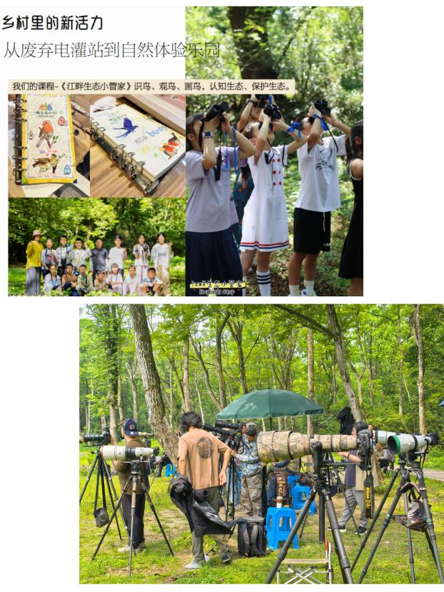 8000萬(wàn)熱度炸屏！屯溪“護(hù)村小祖宗”聯(lián)動(dòng)短劇頂級(jí)頭部平臺(tái)帶火綬帶鳥，短劇+文旅解鎖鄉(xiāng)村振興新密碼