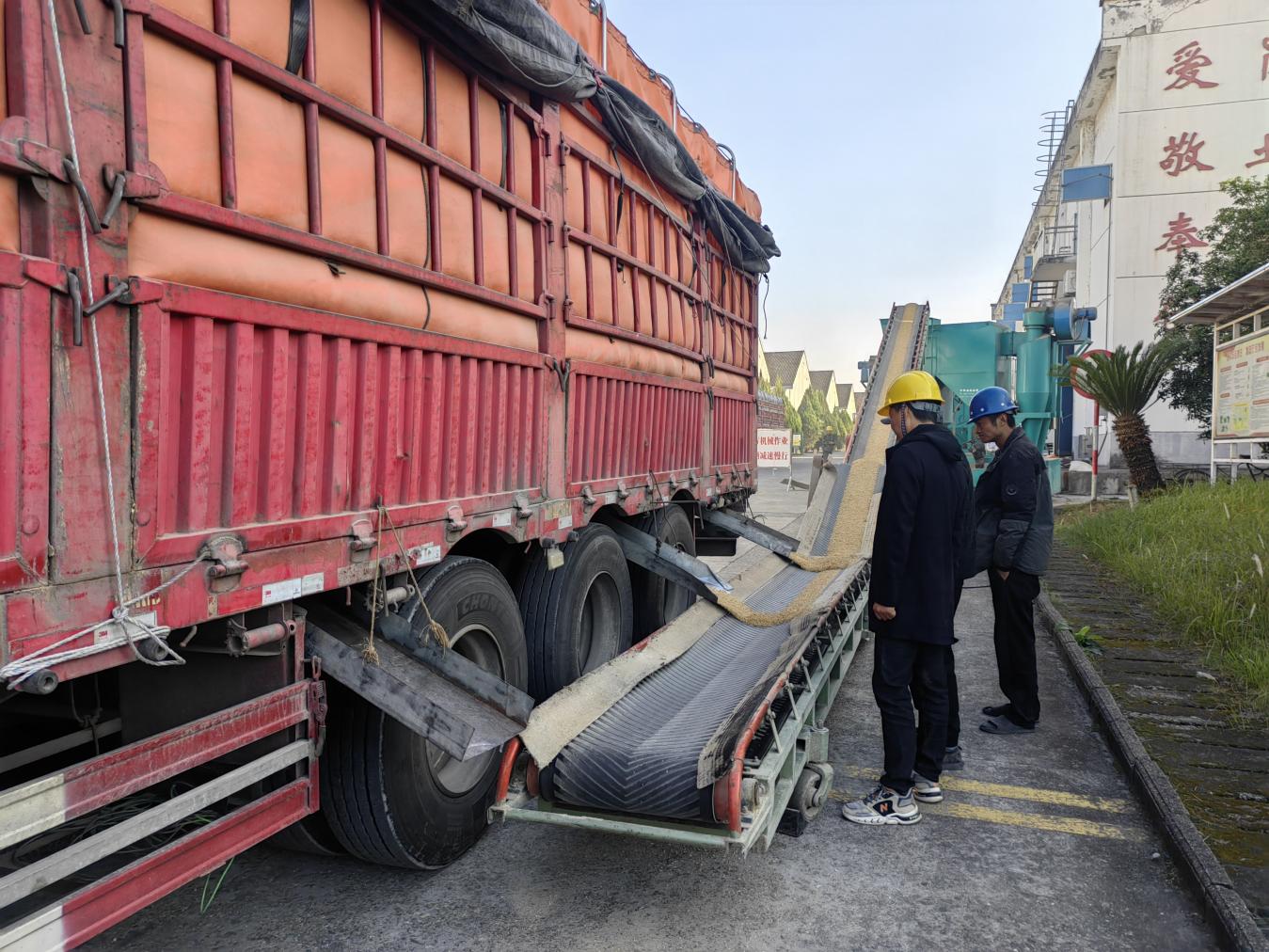 糧儲(chǔ)公司2025年度區(qū)級(jí)儲(chǔ)備糧輪換入庫(kù)工作圓滿(mǎn)完成