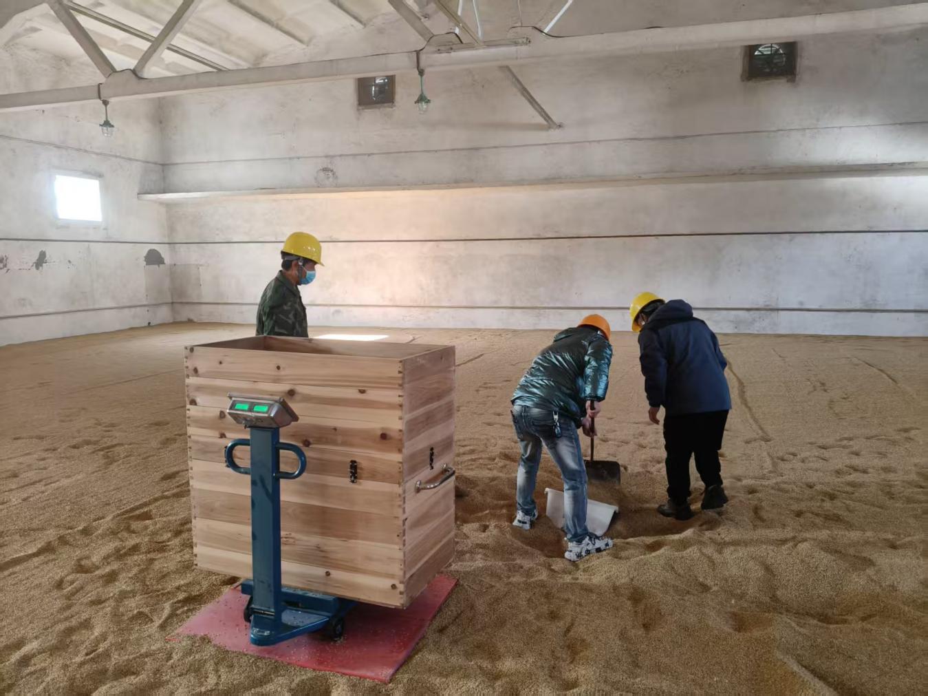 糧儲(chǔ)公司2025年度區(qū)級(jí)儲(chǔ)備糧輪換入庫(kù)工作圓滿(mǎn)完成